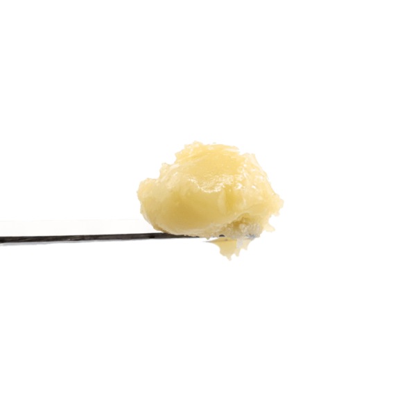 Honey Papaya Premium Live Rosin
