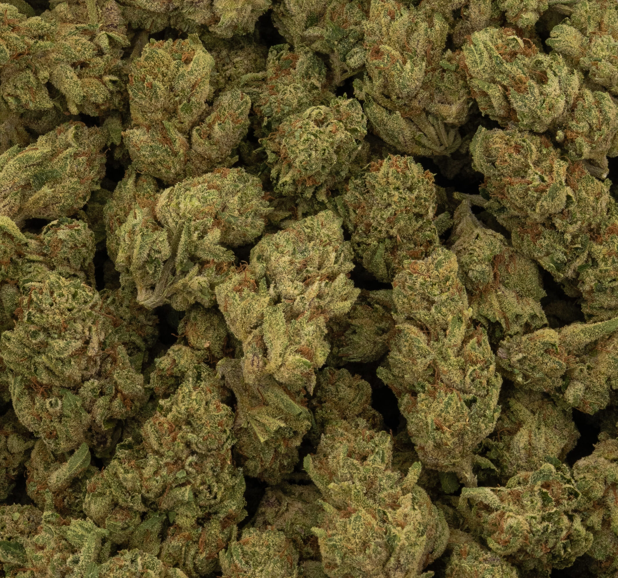 Space Runtz THCA flower — Hello Mary
