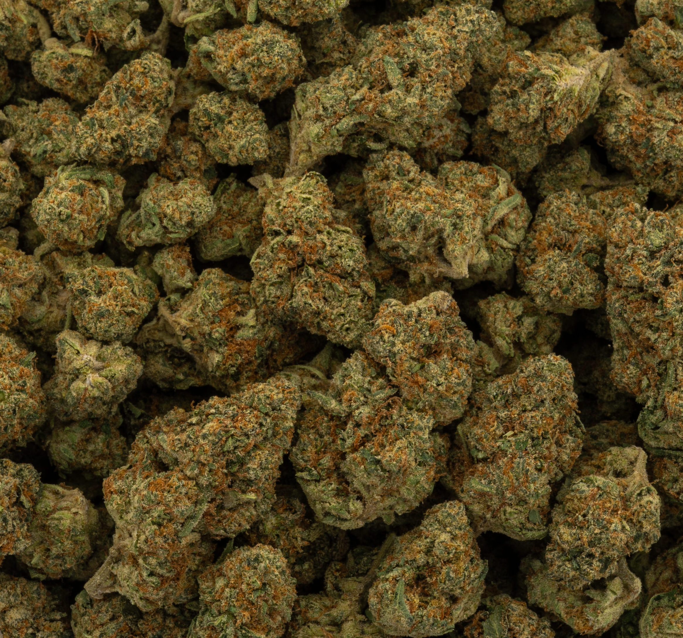 Baker’s Dozen THCA flower — Hello Mary